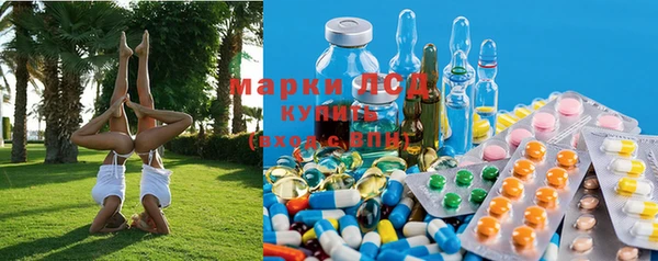 PSILOCYBIN Заволжск