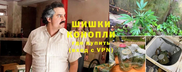 бошки Заводоуковск