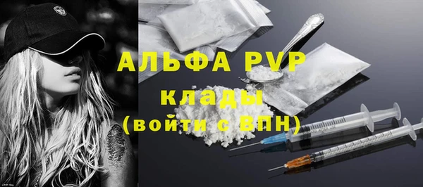 индика Покров