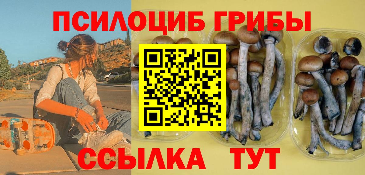 Реж  Псилоцибиновые грибы Cubensis  Вход с VPN 