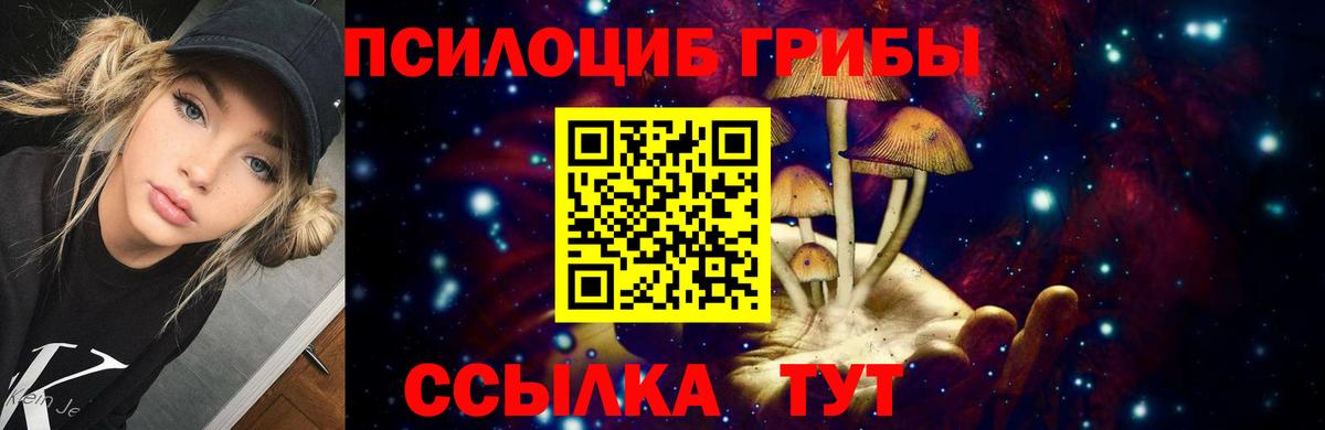 Псилоцибиновые грибы Magic Shrooms Реж